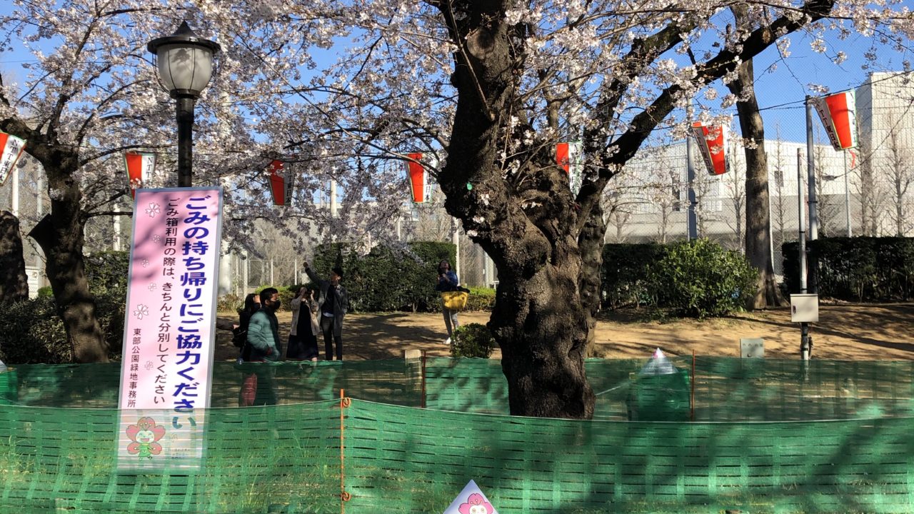 初針刺 4月6日 お江戸のジョーのブログ